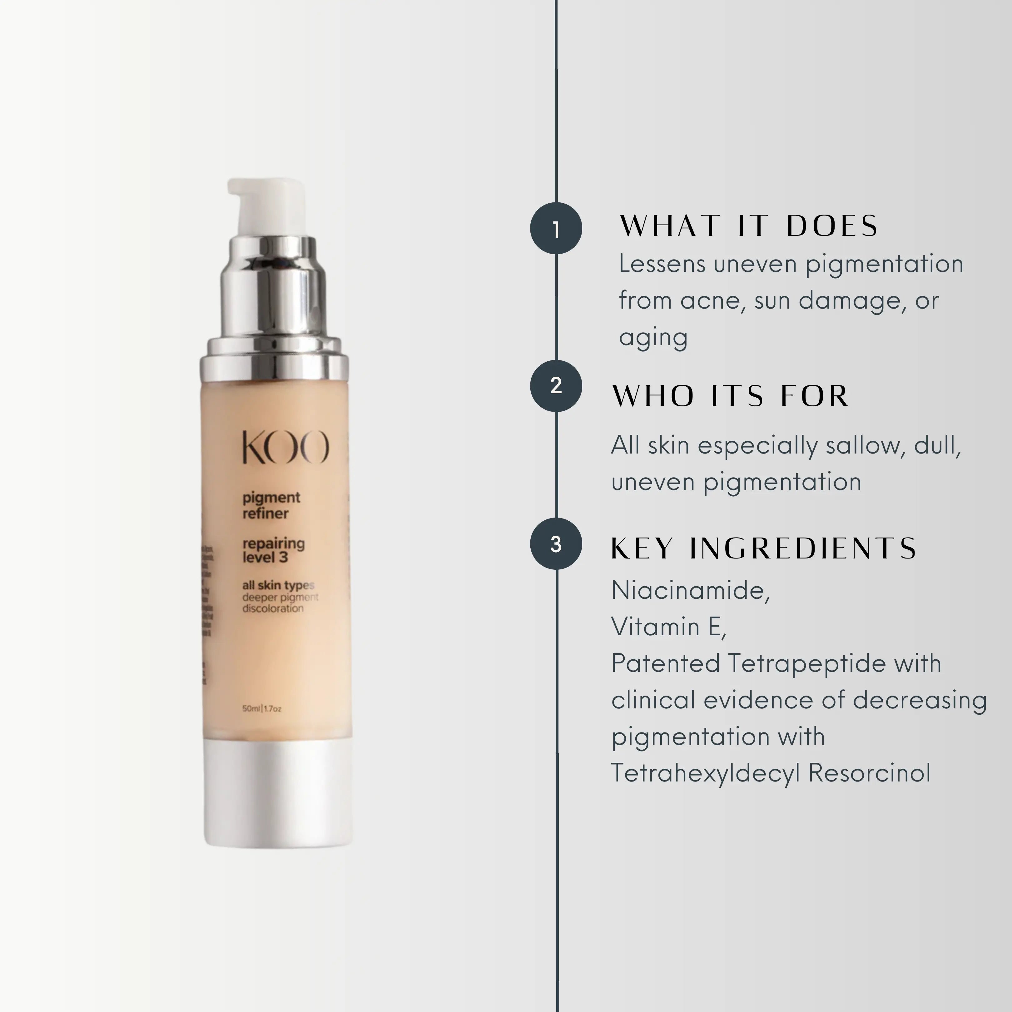 PIGMENT REFINER - Level 3